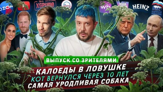 Артемий Лебедев VK Видео
