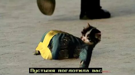 АукцЫон YouTube