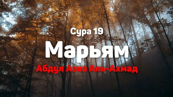 Азиза VK Видео