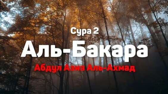 Азиза VK Видео