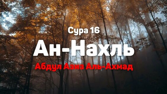 Азиза VK Видео