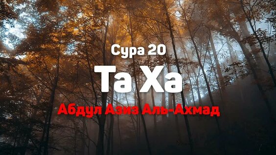Азиза VK Видео