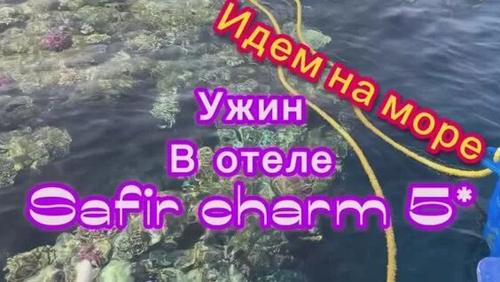 Бородина Rutube