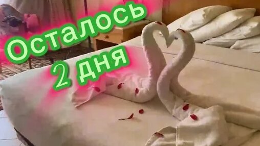 Бородина Дзен