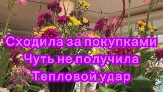 Бородина Rutube