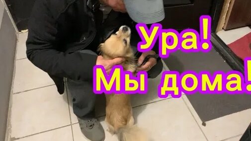 Бородина Дзен