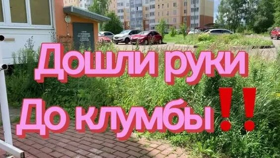Бородина Rutube