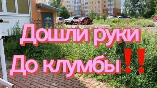Бородина Дзен