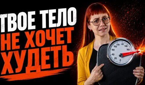 Бородина Дзен