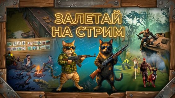 Браво Rutube