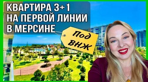 Брутто Дзен