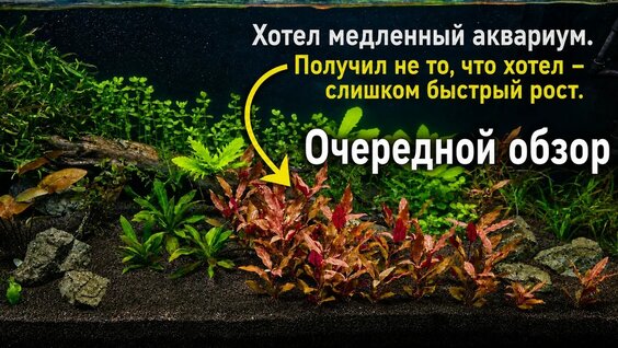 Брутто YouTube