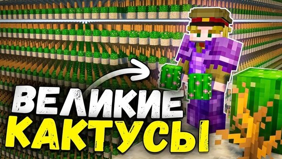 Bushido Zho VK Видео