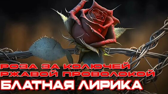 Бутырка VK Видео