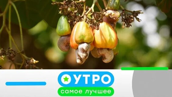 Бузова 2 недели назад