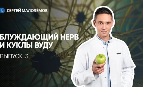 Чудо техники Дзен