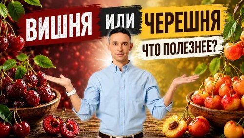 Чудо техники Дзен