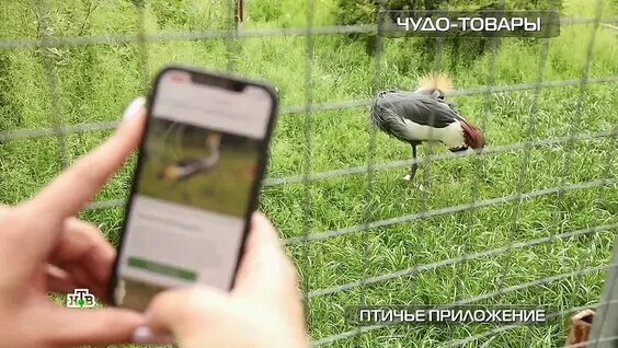 Чудо техники ОК
