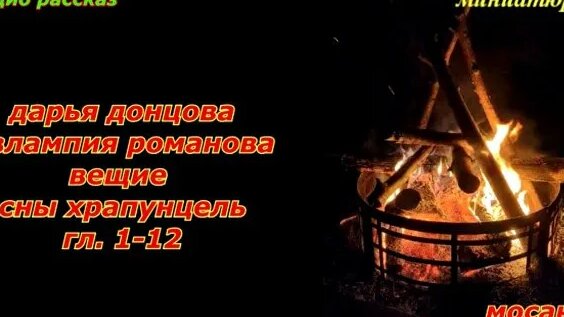Дарья Донцова Rutube
