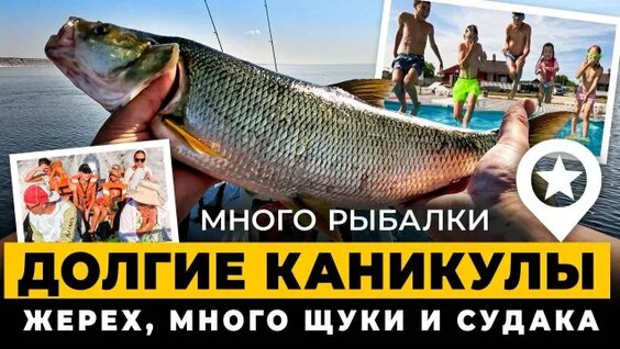 Дарья Златопольская Rutube