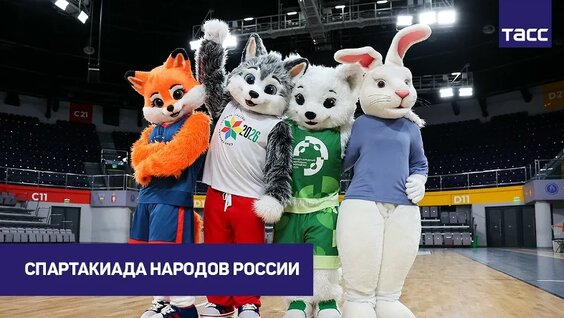 Давид Белявский VK Видео