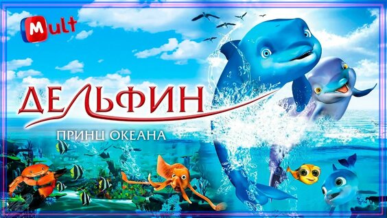Дельфин VK Видео