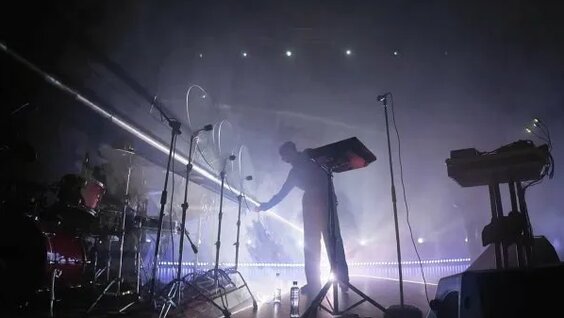 Дельфин Rutube
