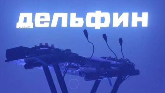 Дельфин Rutube