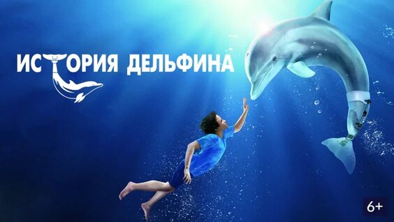 Дельфин VK Видео