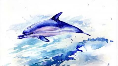 Дельфин Rutube