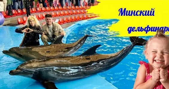 Дельфин неделю назад