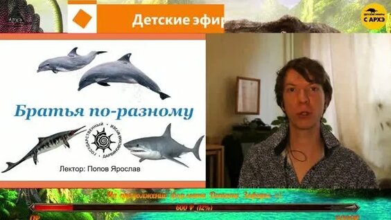 Дельфин 2 недели назад