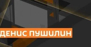 Денис Пушилин Дзен