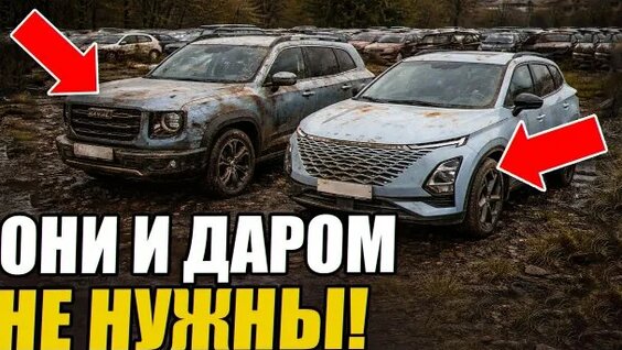Дилер Rutube