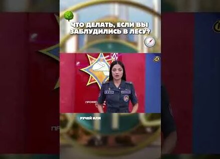 Дима Евтушенко YouTube