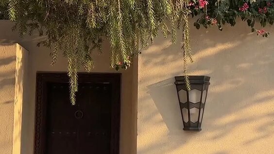 Дина Саева VK Видео
