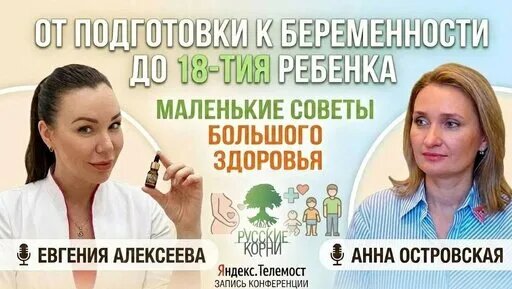 Дмитрий Алексеев Дзен