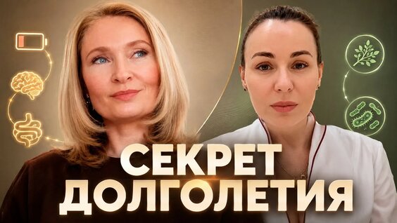 Дмитрий Алексеев YouTube