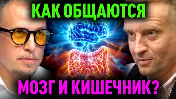 Дмитрий Алексеев VK Видео