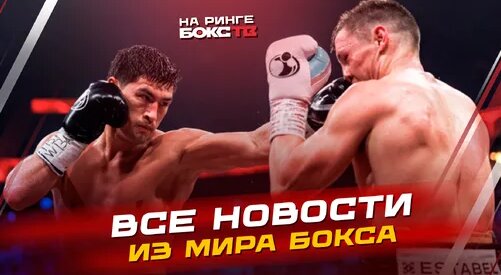 Дмитрий Бивол Дзен