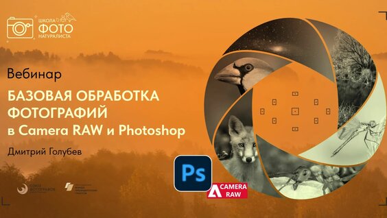 Дмитрий Голубев Rutube