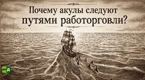 Дмитрий Хрусталев Дзен