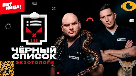 Дмитрий Масленников VK Видео