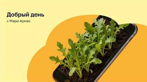 Дмитрий Нагиев YouTube