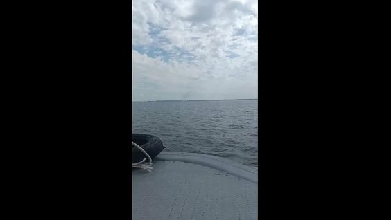 Дмитрий Николаев VK Видео