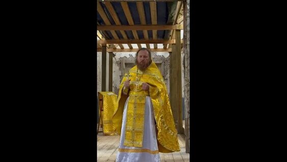 Дмитрий Николаев VK Видео