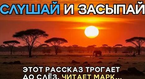 Дмитрий Певцов YouTube