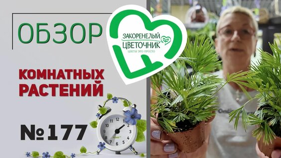 Дмитрий Пучков Rutube