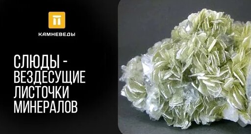 Дмитрий Романов Дзен