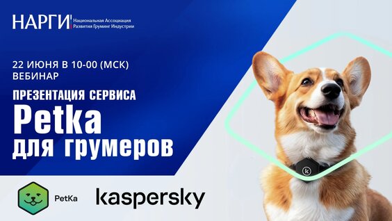 Дмитрий Романов VK Видео